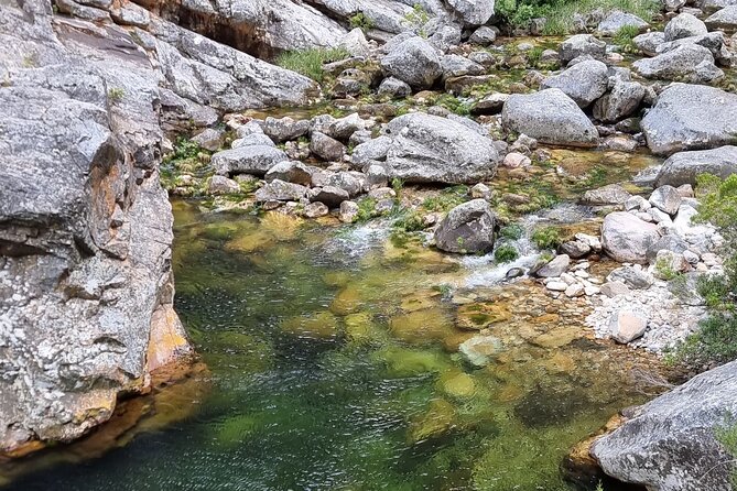 Fly Fishing in Cape Town for Five Hours - The 5-Hour Flow: How the Day Typically Feels