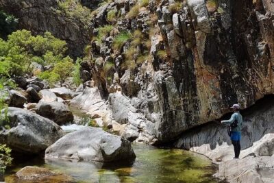Fly Fishing in Cape Town for Five Hours - Starting Point in Paarl: What the Morning Sets Up