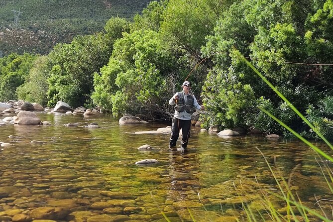 Fly Fishing in Cape Town for Five Hours - Salt-Water Estuary Fishing: Off a Boat or on Foot With Waders