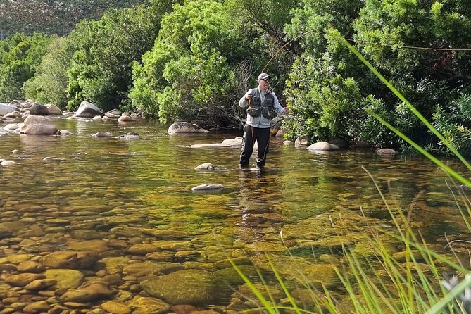 Fly Fishing in Cape Town for Five Hours - Price and Value: Is $250 Reasonable for Five Hours?