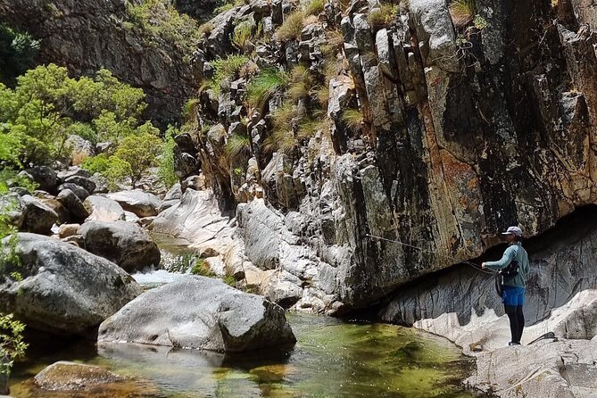 Fly Fishing in Cape Town for Five Hours - Starting Point in Paarl: What the Morning Sets Up