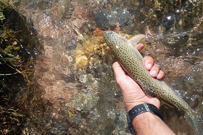 Fly Fishing on Private Andean River Including Barbecue Lunch - The private ranch river: what the fishing setting is really like