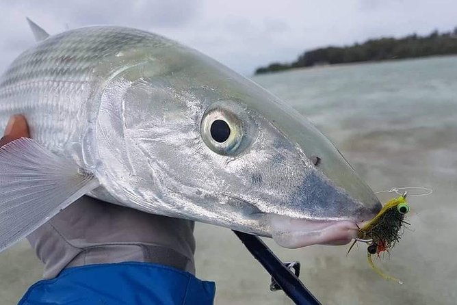 Fly Fishing Tour - Your 3.5 Hours on the Water: How the Fishing Day Typically Flows