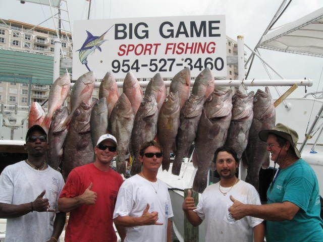Fort Lauderdale: 4-Hour Sport Fishing Shared Charter - The two sides of the experience: action vs. bait time