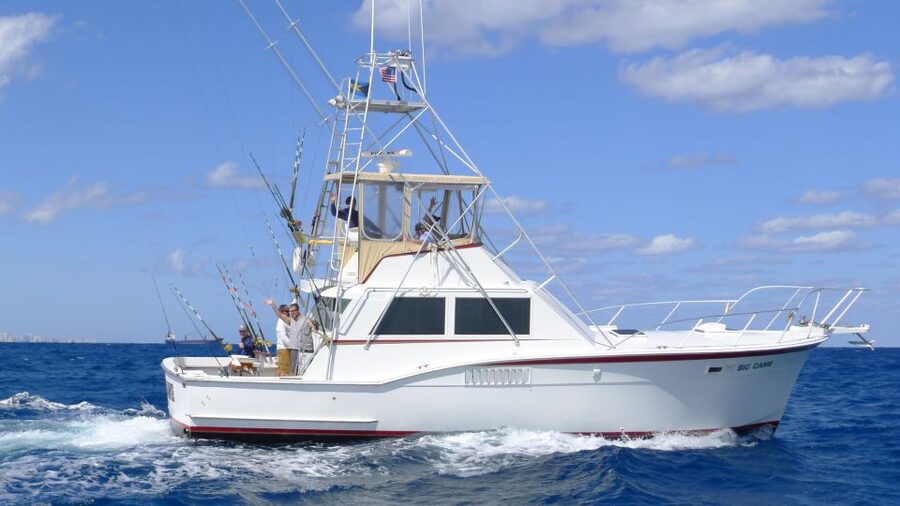 Fort Lauderdale: 4-Hour Sport Fishing Shared Charter - Included: bait, tackle, licenses, rods, and ice-coolers