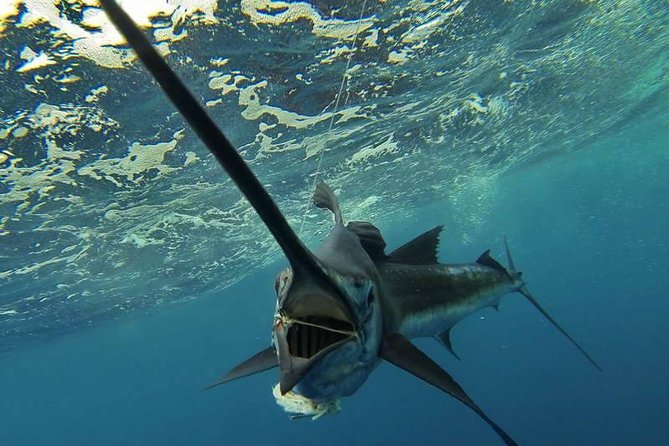 Four-Hour Fishing Tour in Dominica - Key things to know before you go