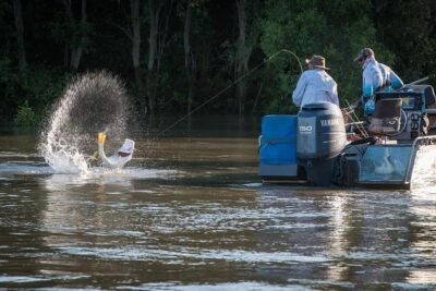 Freshwater or Saltwater Barramundi Fishing Day Trip from Darwin - The 5:00 am start, hotel pickup, and the rhythm of the day