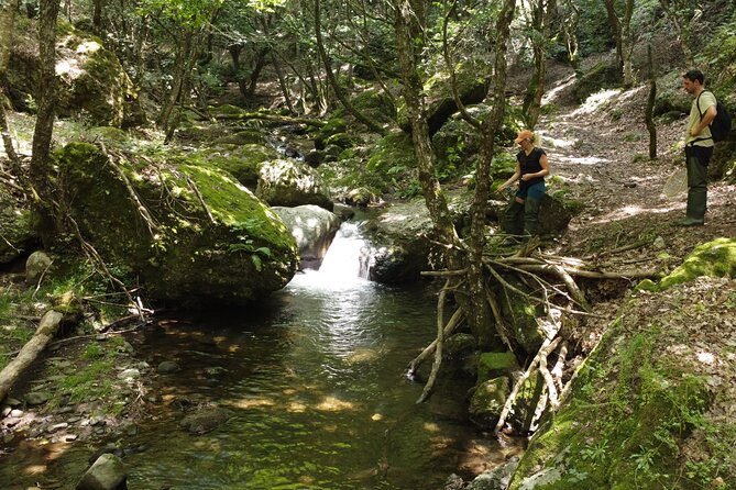 From Catania, Syracuse and Taormina: fly fishing experience - What makes this fly-fishing day in Sicily feel worthwhile