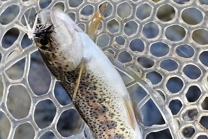From Catania, Syracuse and Taormina: fly fishing experience - The €23 fishing license: the one extra cost you should budget