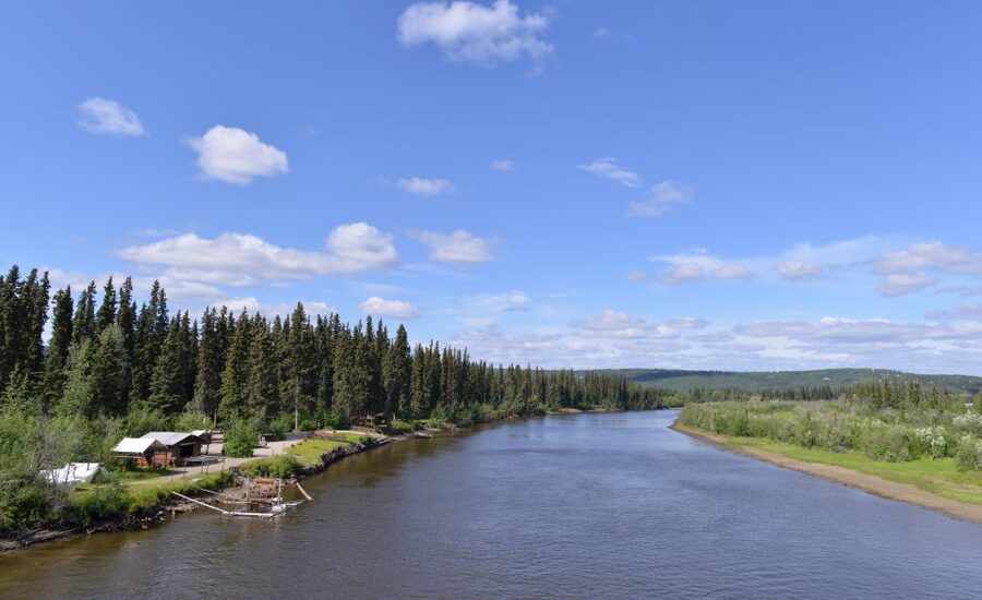 From Fairbanks: Half-Day River Fishing Excursion - Chena River serenity: the kind of fishing that doesn’t feel rushed