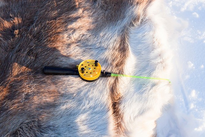From Ivalo: Ice Fishing Safari to Lake Inari, reindeers & lunch - Reindeer on an Island: A Gentle Finale