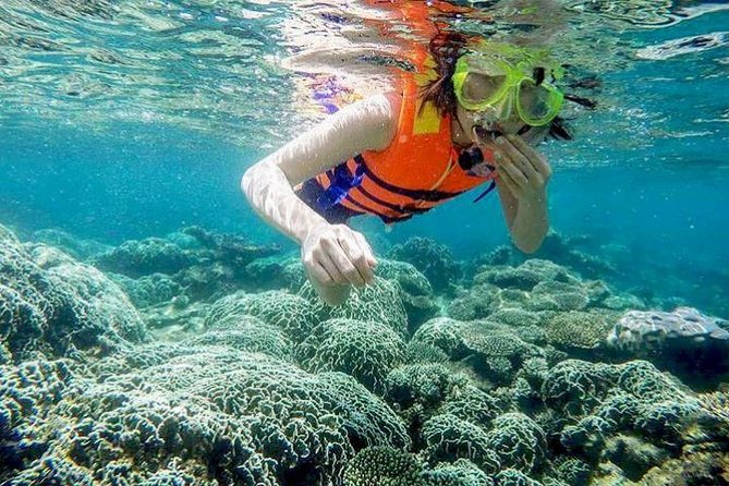 From Mui Ne To Vinh Hy Bay Snorkeling And Fishing Tour | Day Trip - Key things to know before you go