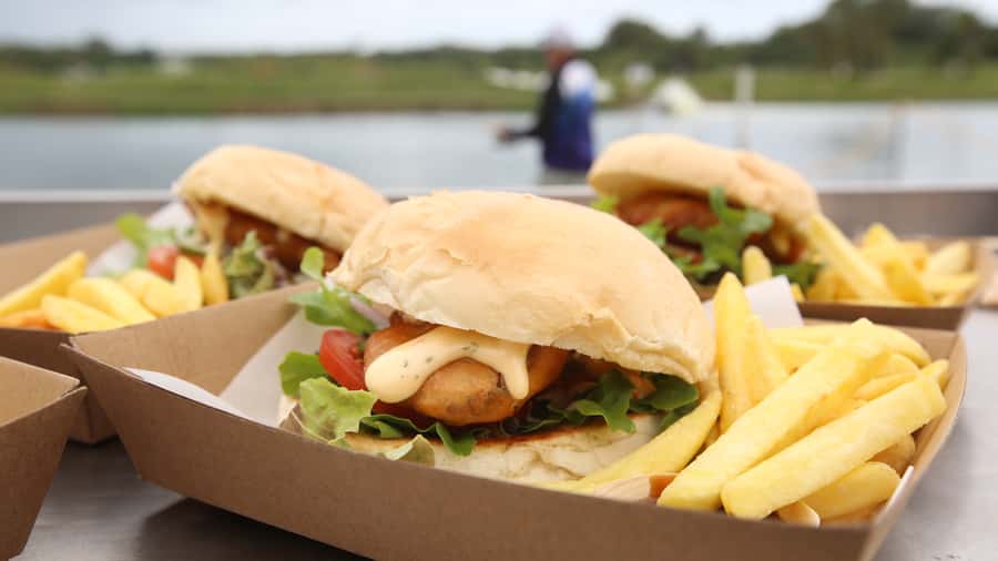 From Port Douglas: Barramundi Pond Fishing with Lunch - A pond, a farm, and a proper barra fight