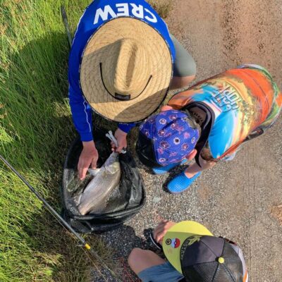 From Port Douglas: Barramundi Pond Fishing with Lunch - Getting from Port Douglas: pickup, timing, and avoiding hassle