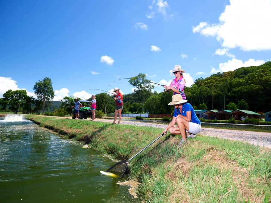 From Port Douglas: Barramundi Pond Fishing with Lunch - Who this tour suits best