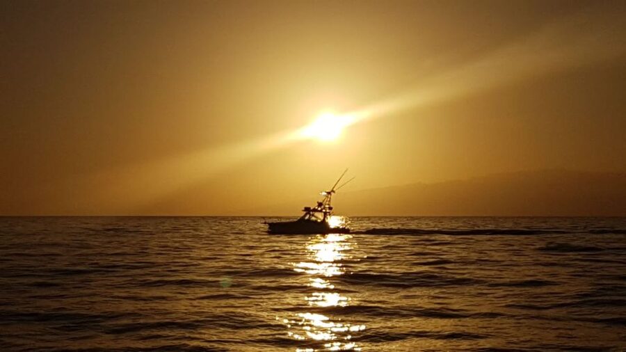From Puerto Colón: Private Fishing Boat Charter with Lunch - Key points worth knowing before you go