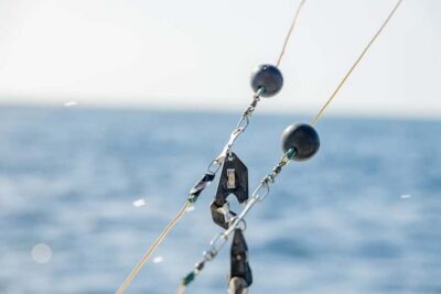 From Punta Cana: Deep Sea Fishing Tour by Boat with Drinks - Getting picked up from Punta Cana without wasting daylight