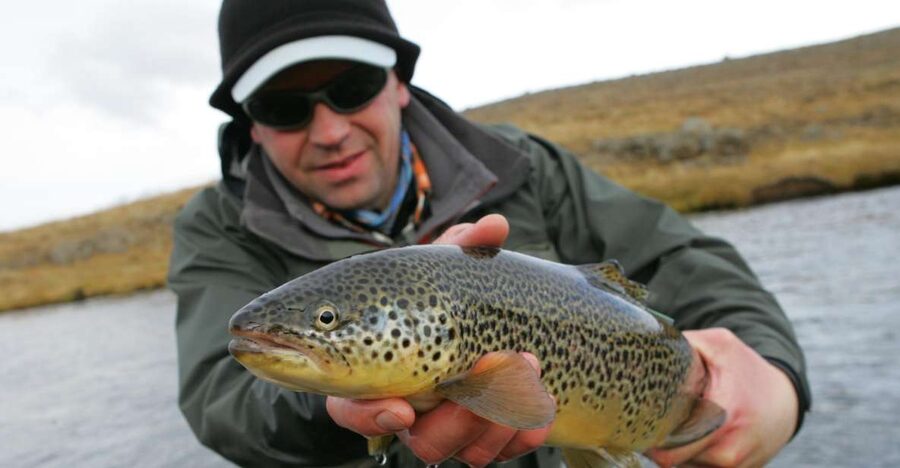 From Reykjavik: Lake and River Fishing Tour - Fly vs Spin: How the Learning Fits Into a Real Fishing Day