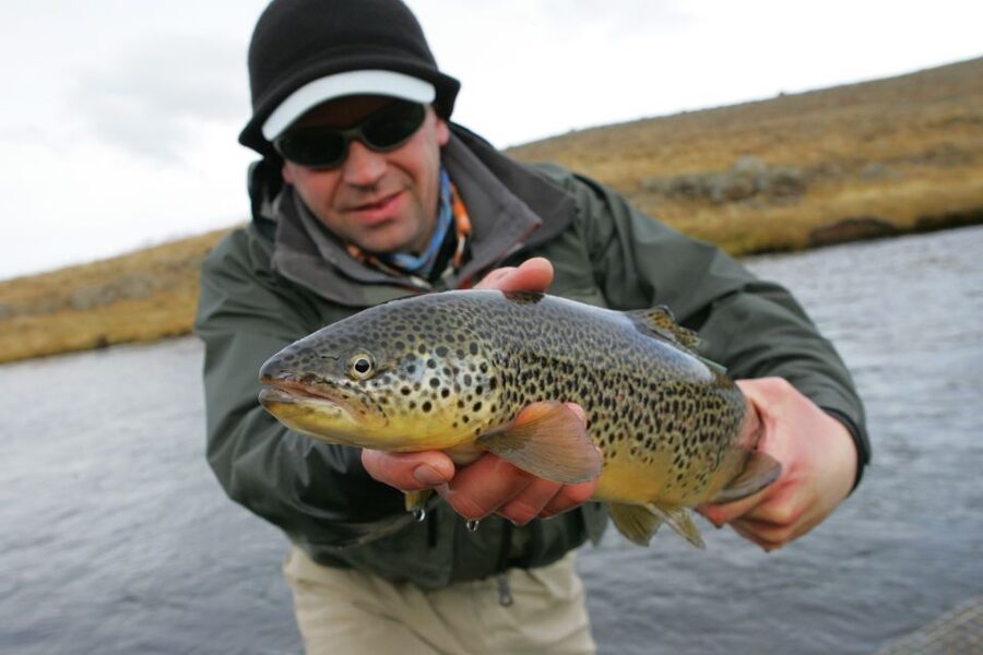 From Reykjavik: Lake and River Fishing Tour - What’s Included: Fishing Gear, Permits, Guide, and Transport