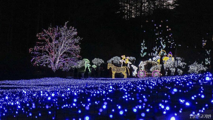 From Seoul: Hwacheon Ice Fishing and Lighting Festival Tour - Quick reasons you’ll like this Hwacheon + Morning Calm winter combo