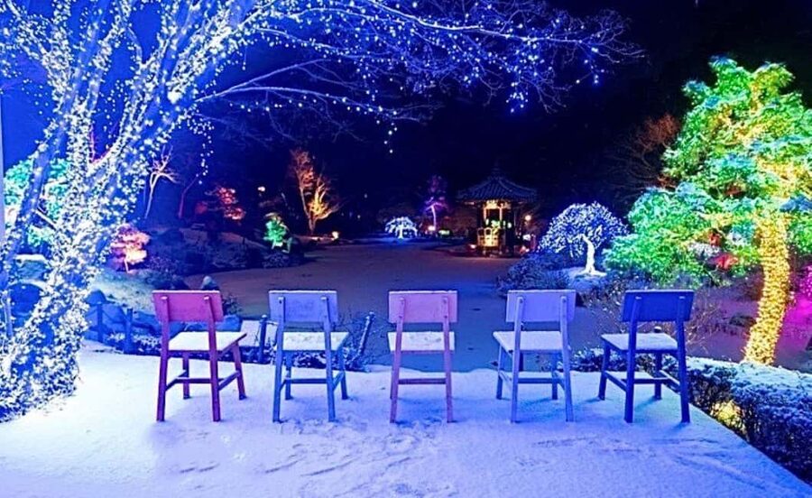 From Seoul: Hwacheon Ice Fishing and Lighting Festival Tour - Festival food in the cold: grilled fish and sashimi where you are