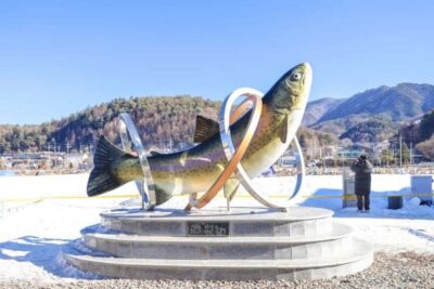 From Seoul: Hwacheon Ice Fishing and Lighting Festival Tour - Hwacheon Sancheoneo Ice Festival: ice fishing, trout, and winter thrills