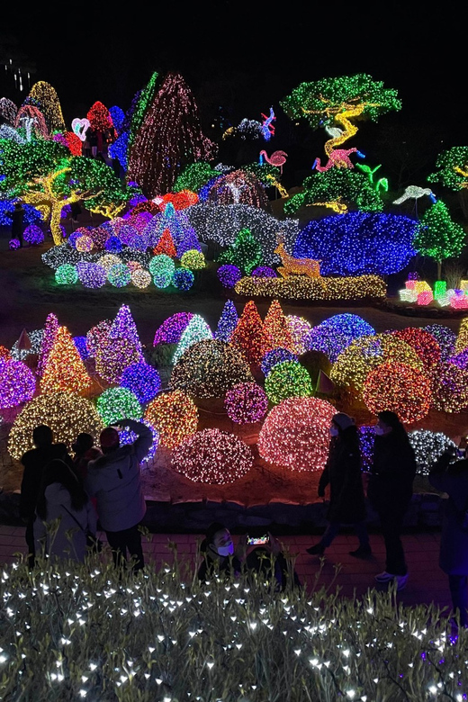 From Seoul: Hwacheon Ice Fishing and Lighting Festival Tour - The winter scenery and the shift from day to night