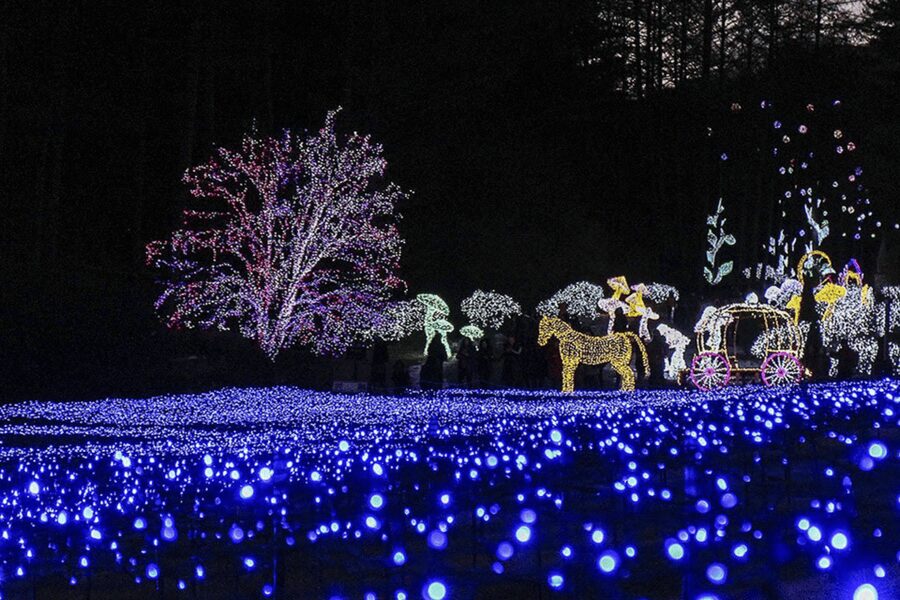 From Seoul: Hwacheon Ice Fishing and Lighting Festival Tour - Garden of Morning Calm: winter-only lights and photo-friendly calm