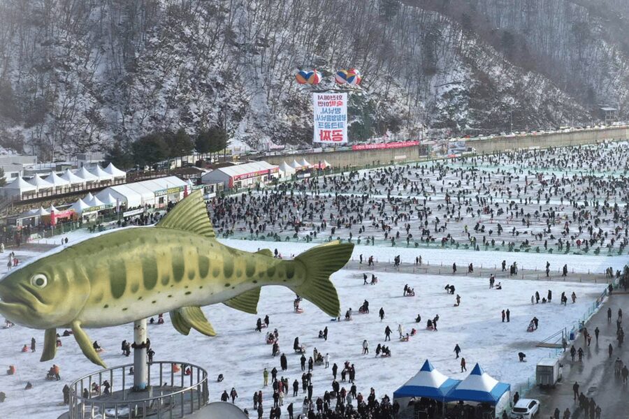 From Seoul: Hwacheon Ice Fishing and Lighting Festival Tour - Who should book this tour, and who should skip