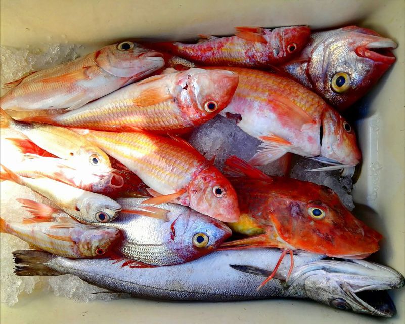 From Sorrento: Fishing in Capri with Lunch - The fishing part you actually get involved in