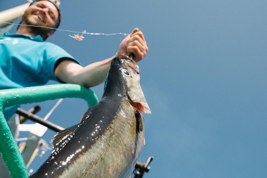 From Svolvaer: Lofoten Fishing Boat Cruise - Key things I’d plan for on this Lofoten fishing cruise