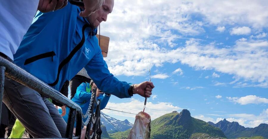 From Svolvaer: Lofoten Fishing Boat Cruise - What the guides teach you (and why that matters)