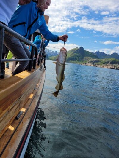 From Svolvaer: Lofoten Fishing Boat Cruise - The 4-hour rhythm: what you’ll do from start to finish