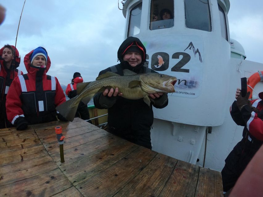 From Svolvaer: Lofoten Fishing Boat Cruise - Catching fish: the odds, the reality, and the fun part