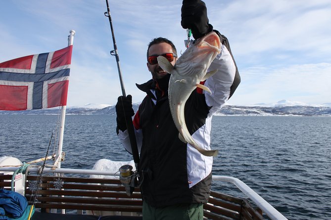 From Tromsø: Polar Fishing Adventure - Key highlights worth building your day around
