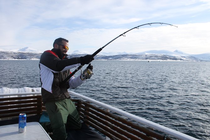 From Tromsø: Polar Fishing Adventure - From the pier to the fjords: how the timing really feels