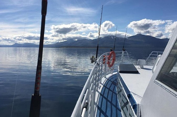 From Tromsø: Polar Fishing Adventure - Onboard meal: cooking your catch without turning it into a hassle