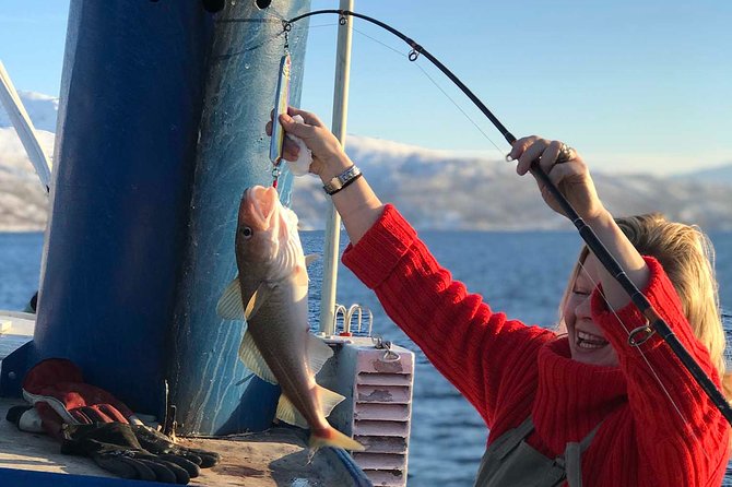 From Tromsø: Polar Fishing Adventure - Who this Tromsø polar fishing adventure is best for