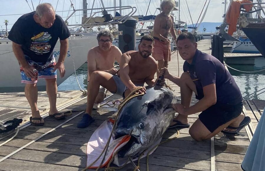 Fuengirola: 4h Trolling Fishing Trip with Snacks and Drinks - The 4-hour plan: how the crew turns you into a working fishing partner