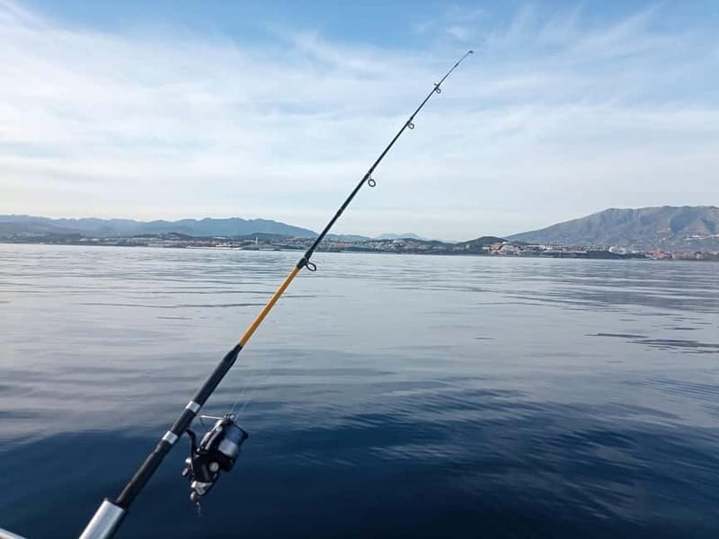Fuengirola: Bottom Fishing Trip with Drinks & Equipment - What You’ll Catch: Seabream, Mackerel, and the Real Deal on Fish Bites