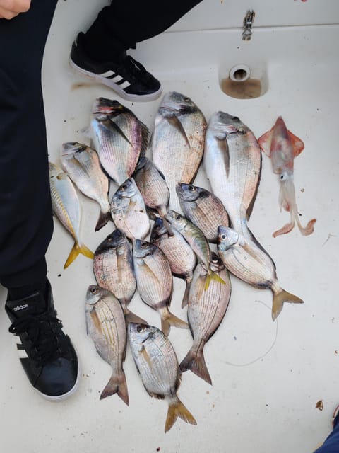 Fuengirola: Bottom Fishing with Jigging and Squid, 2, 4 and 6 hours - What’s included: gear, license, drinks, and the practical stuff
