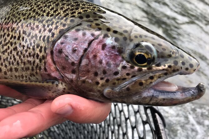 Full day fishing trips - Price and what you really get for $325