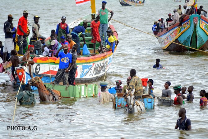 Full-Day PINK LAKE and FISHING VILLAGE combination - The bigger picture: what this day trip really gives you