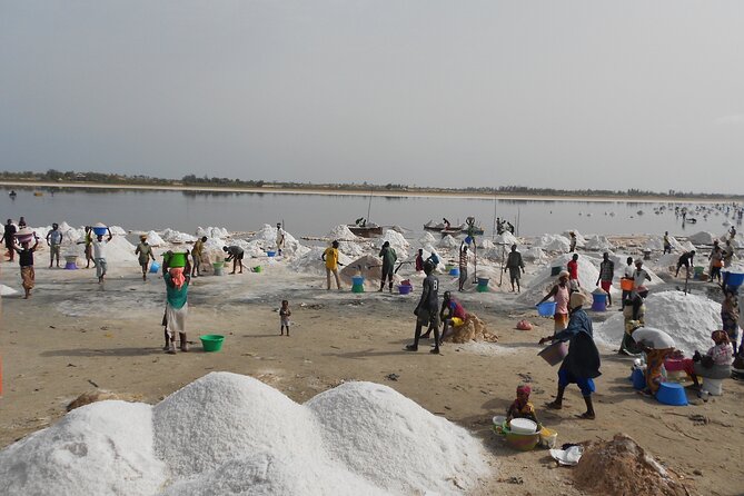 Full-Day PINK LAKE and FISHING VILLAGE combination - Lake Retba: salt harvesting, a pink-looking promise, and the dune 4WD ride
