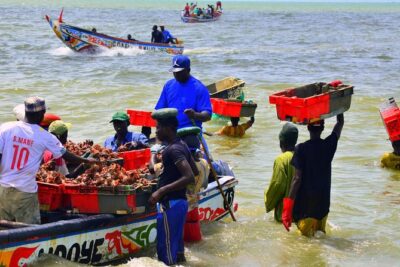 Full-Day PINK LAKE and FISHING VILLAGE combination - Kayar fishing village: photo-worthy boats and real morning rhythm