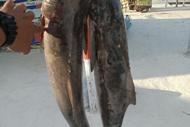Full Day Private Deep Sea Fishing in Holbox - Music, Company, and First-Timer Comfort on the Water
