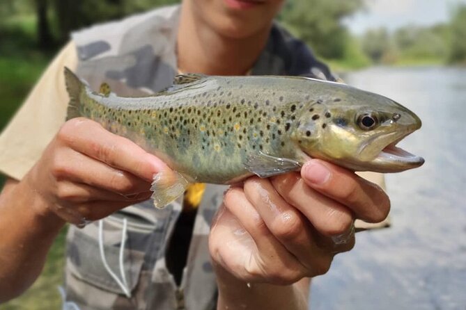 Full Day Private Guided Fishing Charter along the Isonzo Front - Why the Soča River feels different from other fishing trips