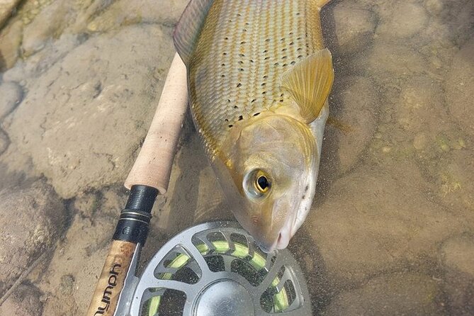 Full Day Private Guided Fishing Charter along the Isonzo Front - Soca Valley: fishing with WWI clues in the background