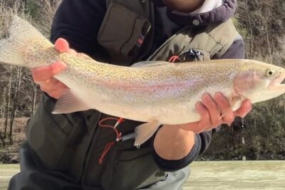 Full Day Private Guided Fishing Charter along the Isonzo Front - A practical look at the full-day flow