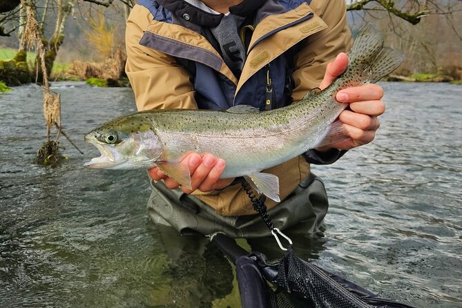 Full Day Private Guided Fishing Charter along the Isonzo Front - Price and value: what $324.43 covers (and what it doesn’t)